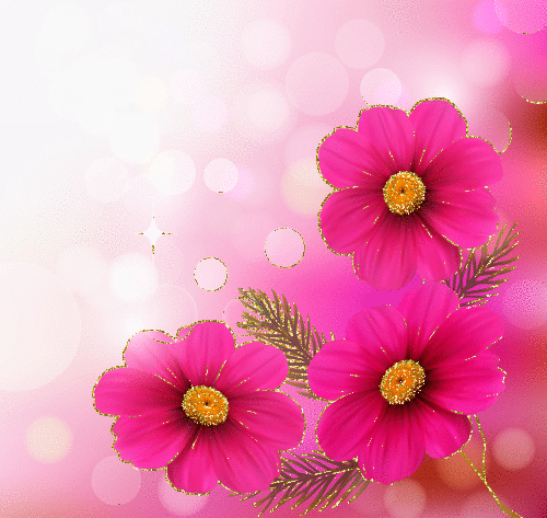 pink flowers