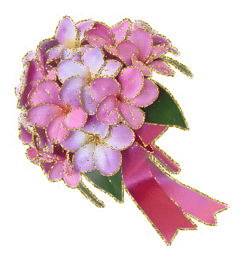 plumerias