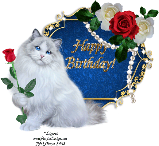 Happy Birthday!