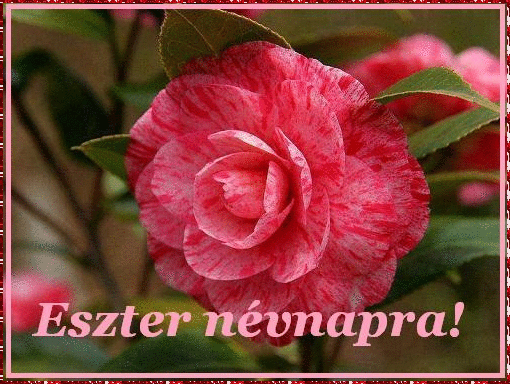 Eszter nameday