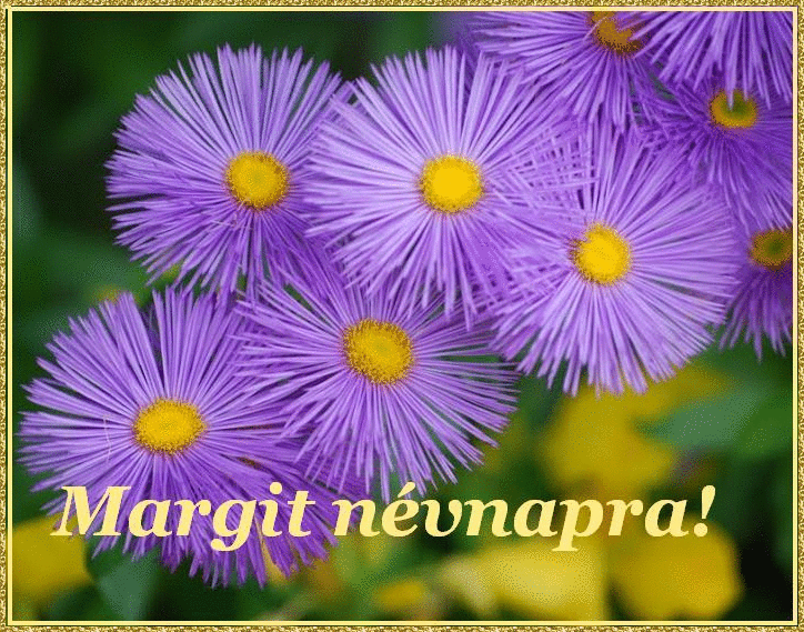 Margit nameday