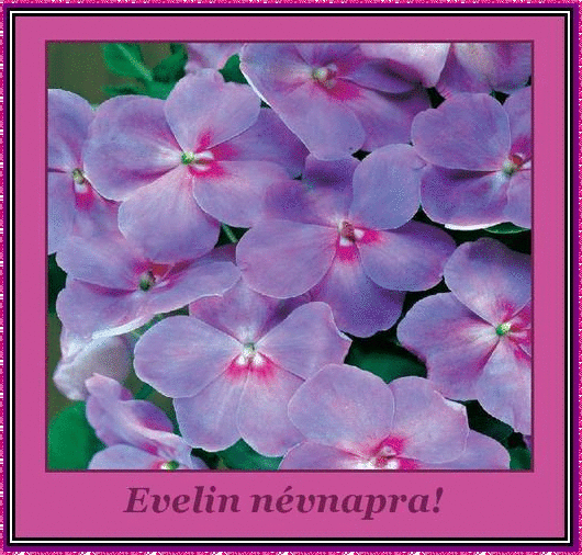 Evelin nameday