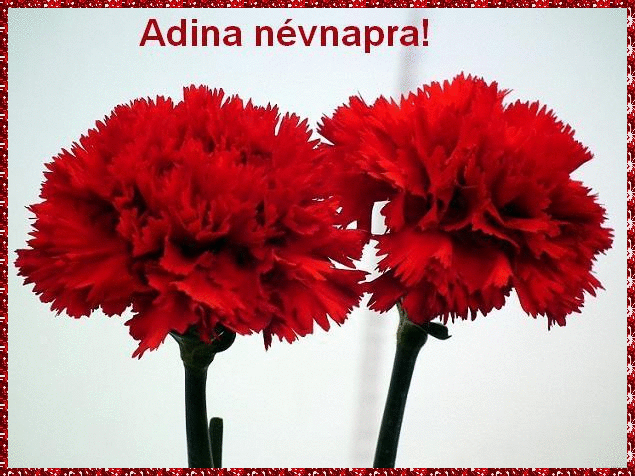 Adina nameday