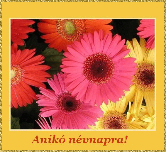 AnikÃ³ nameday
