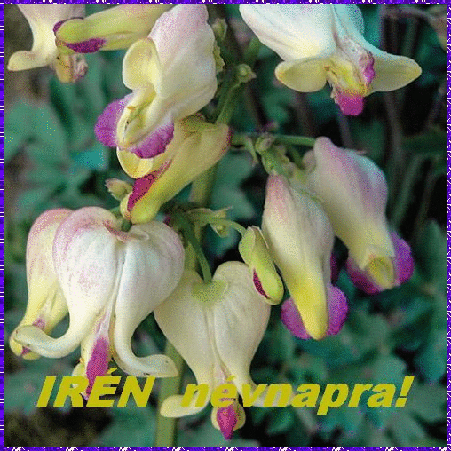 IrÃ©n nameday