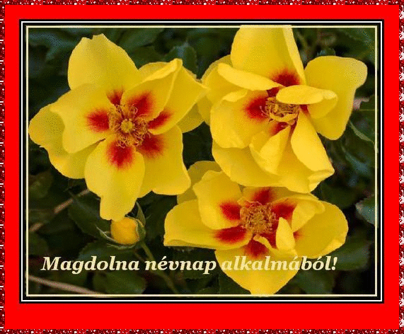 Magdolna nameday