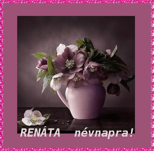 RenÃ¡ta nameday