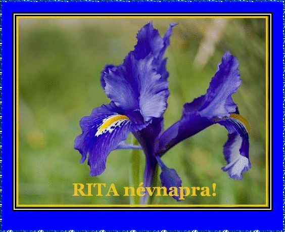 Rita nameday