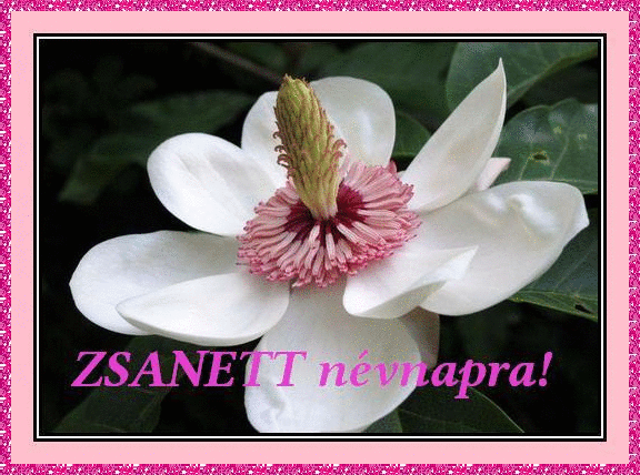 Zsanett nameday