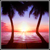 Tropical Sunset