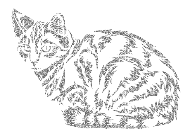cat