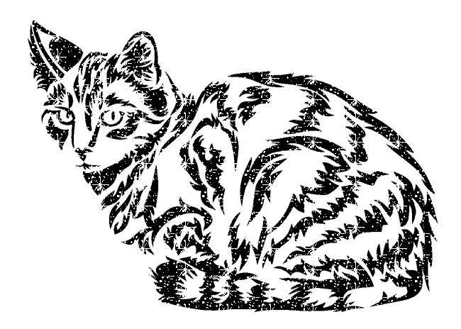 cat