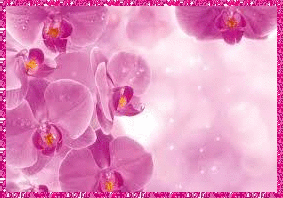 orchid