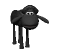 black sheep