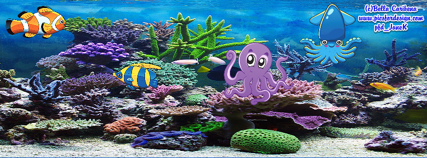 Under the sea FB Cover