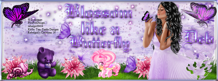 Deb -Blossom like a Butterfly fb cover