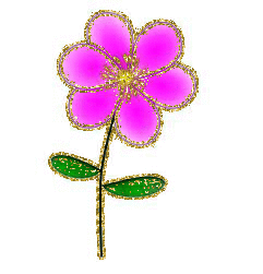 pink flower