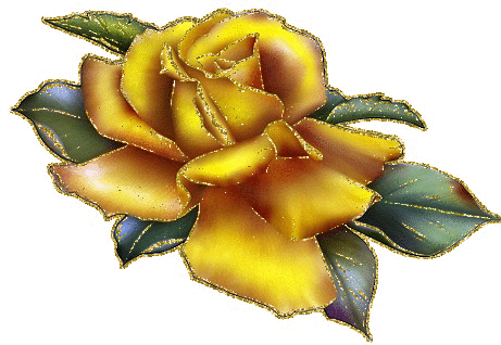 yellow rosa