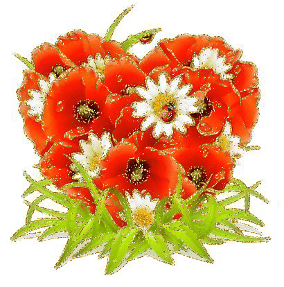 poppies and ladybirds