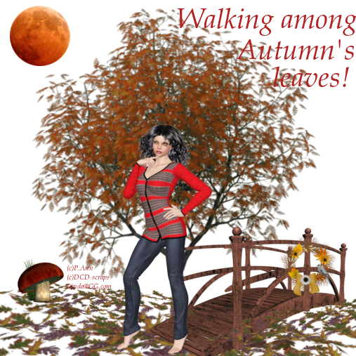 Walking in Autumn leaves