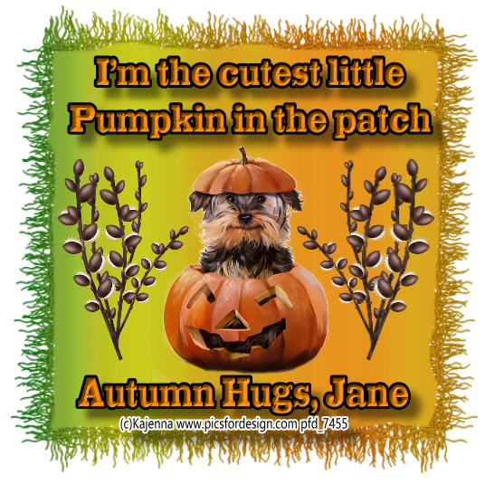Cutest pumpkin in the patch - Jane