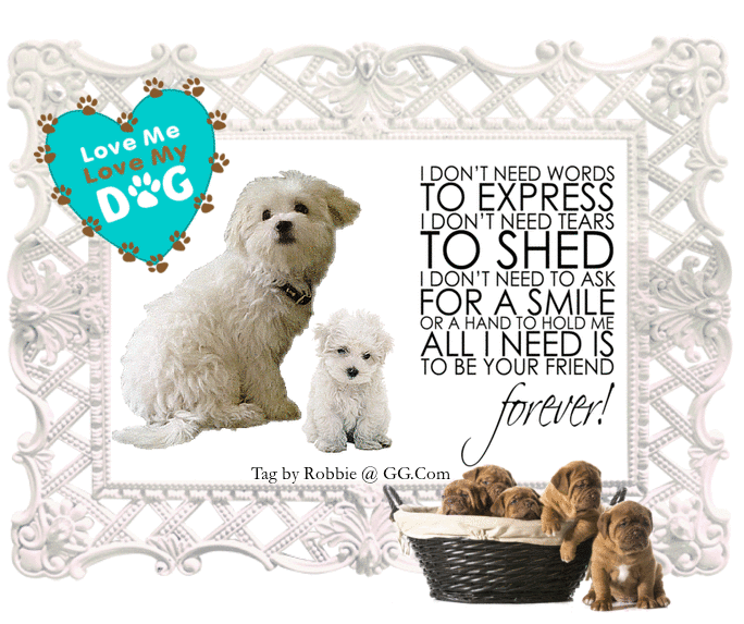 Love me Love my Dog
