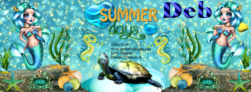 Deb -Summer days fb cover