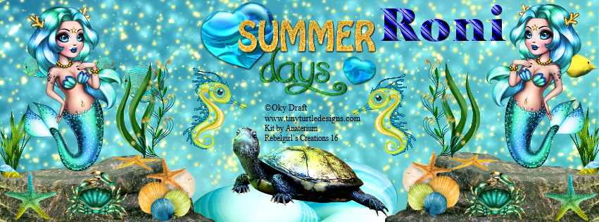 Roni -Summer days fb cover