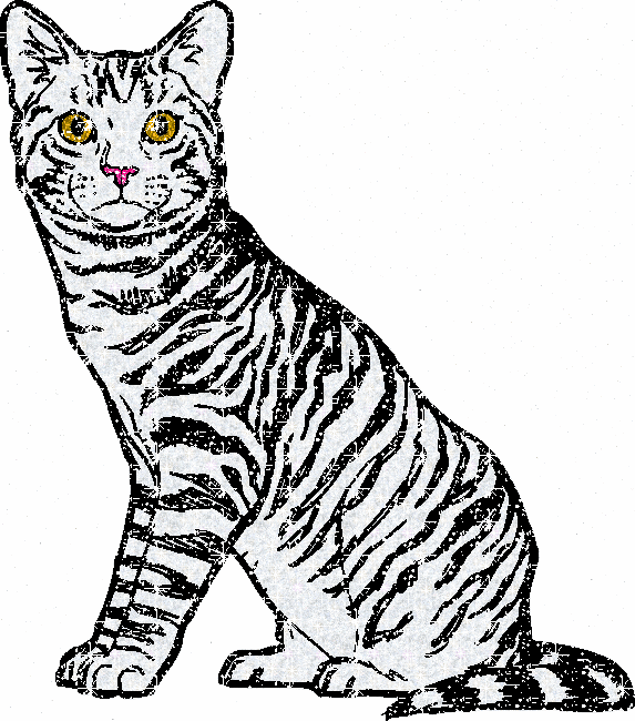 cat