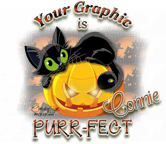 Purr-fect-Connie
