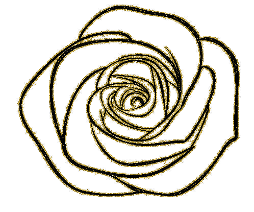 rosa