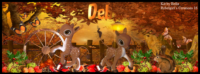 Deb -Enjoying Autumn fb cover