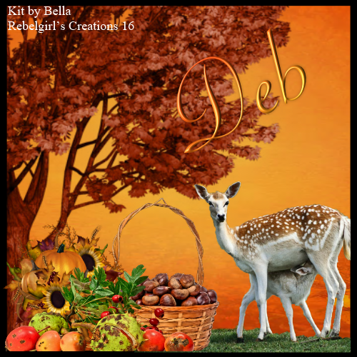 Deb -Home Sweet Home fb profile pic
