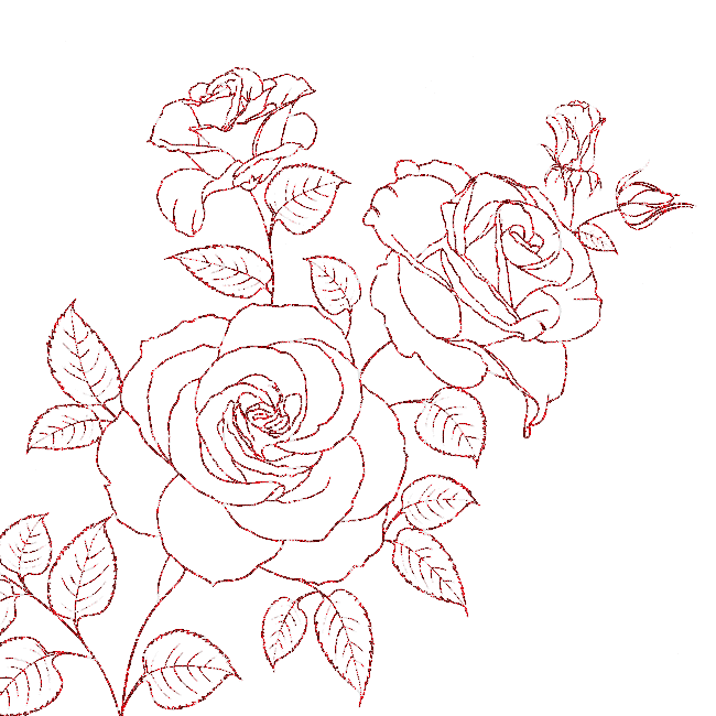 roses