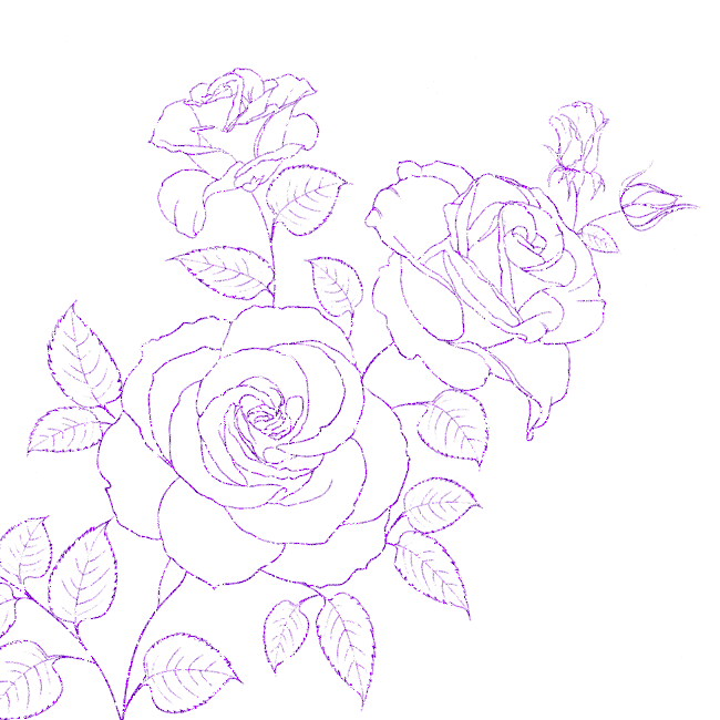 roses