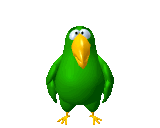 green parrot