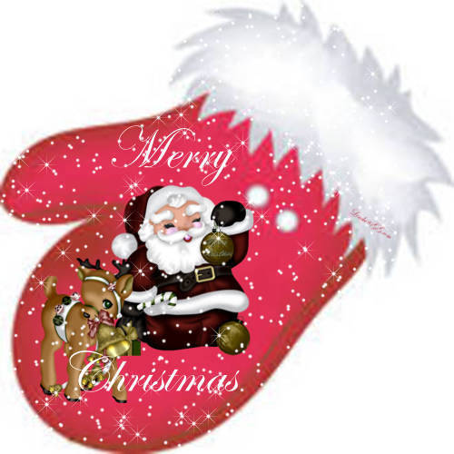 Merry Christmas Mitten
