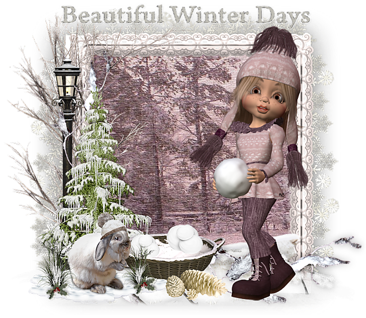 Beautiful Winter Days