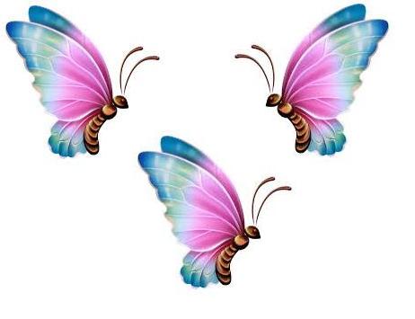 butterflies
