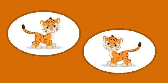 baby tigers