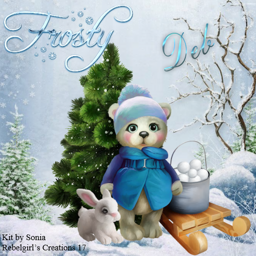 Deb -Frosty fb profile pic