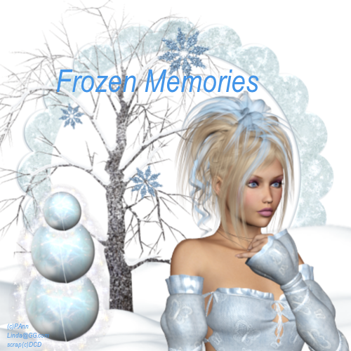 Frozen Memories
