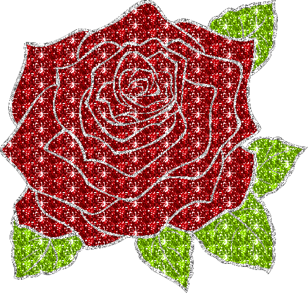 rose with background