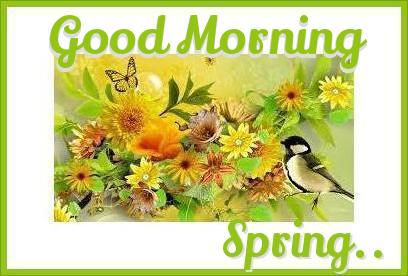 GOOD MORNING.. spring