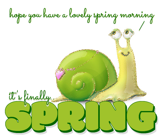 it's finally Spring.. have a lovely spring morning