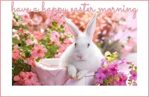 have a happy easter morning