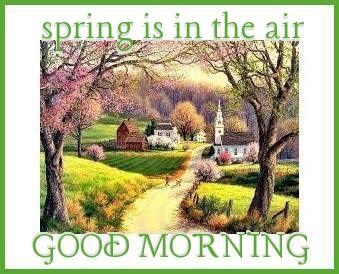 Spring is in the air.. GOOD MORNING