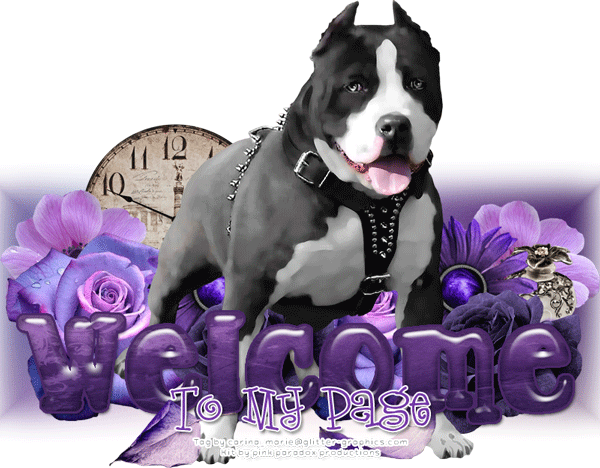 Welcome to my page Emily