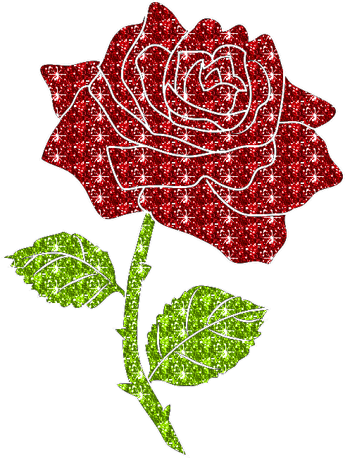 rose