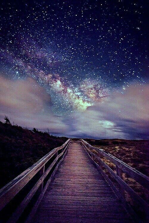 nature
